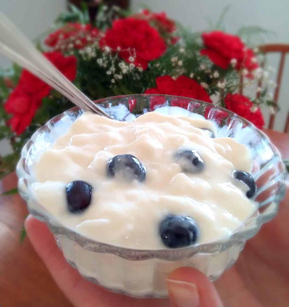 vanilla yogurt in a dish with blueberries.