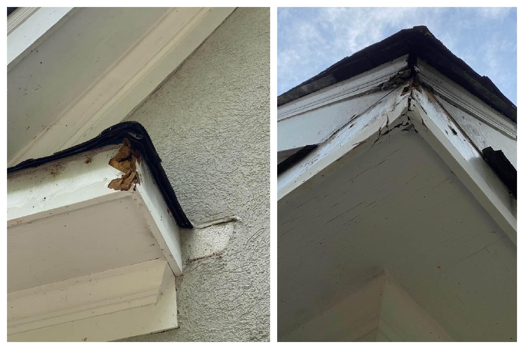 Pictures of water damaged soffits and facIa 