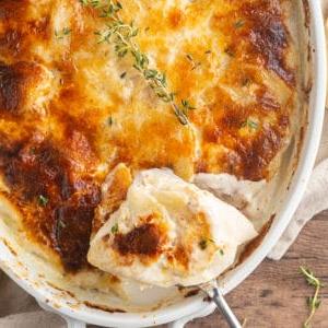 potato gratin